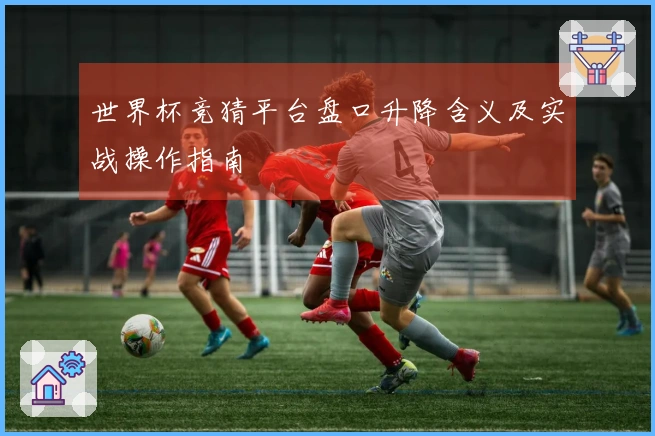 世界杯竞猜平台盘口升降含义及实战操作指南